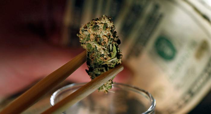 ¿Qué pasaría si se legaliza totalmente la mariguana?