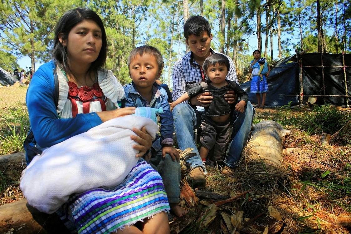 A pesar de la violencia desplazados en montañas de Chiapas vuelven a casa