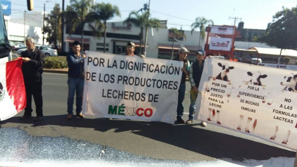 Productores de leche de 20 estados, se manifestarán en toda la República