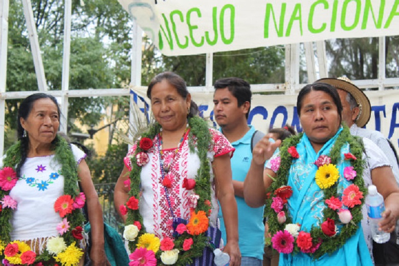 Ayuda disfrazada del gobierno divide y confronta a comunidades indígenas: Marichuy