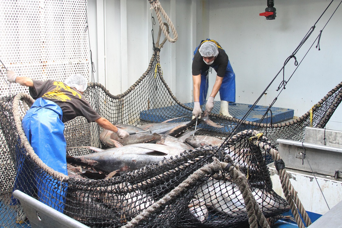SEMARNAT y SADER, pondrán en marcha programa integral para la sustentabilidad pesquera en el alto Golfo de California