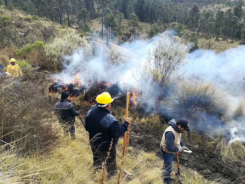 Brinda Probosque capacitación para prevenir y combatir incendios