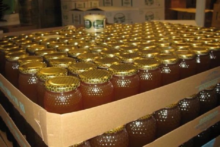 Se incrementa en el primer semestre del año la exportación de miel mexicana en más de 11 por ciento