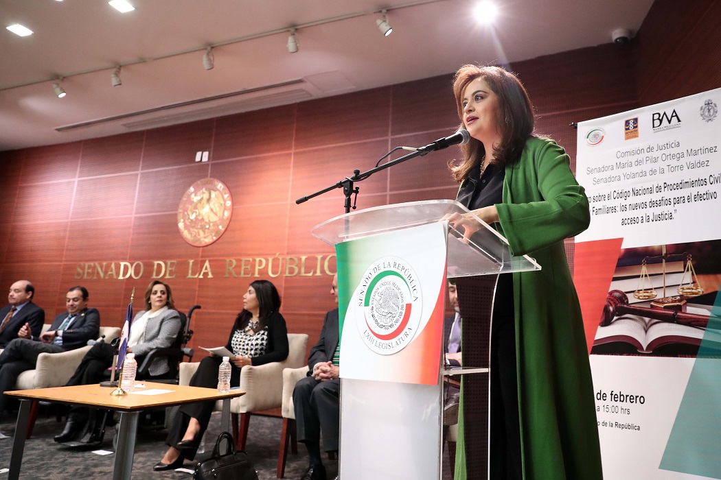 Necesario garantizar respeto de los derechos humanos protegiendo diferencias: Ana Lilia Herrera