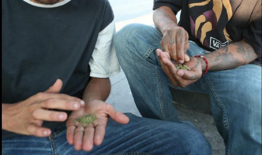 “Hay que prevenir el consumo de drogas en los jóvenes a como dé lugar”: Mondragón y Kalb