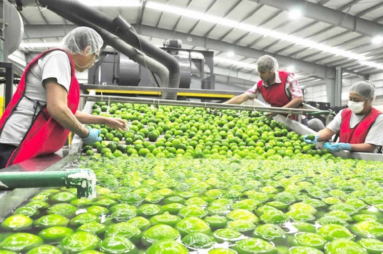 Impulsan SAGARPA y USDA mecanismos para optimizar el comercio de productos agroalimentarios entre México y EU