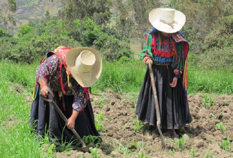 Mujeres rurales y campesinas, sector clave en seguridad alimentaria