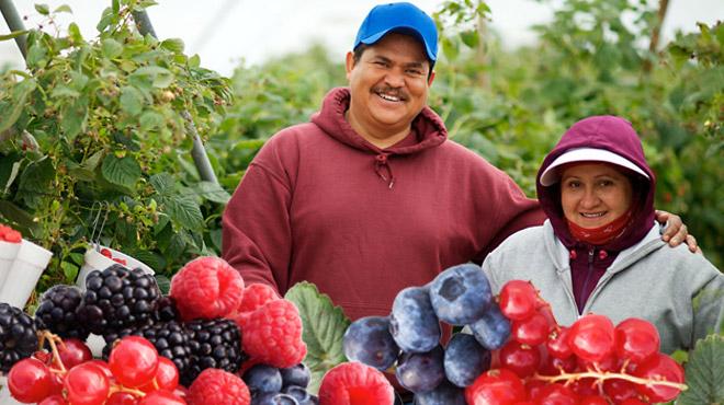 Jalisco como líder del sector agroalimentario: HGE