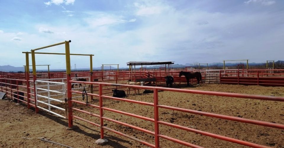 Fiscalía de Chihuahua incauta rancho de 30 mil hectáreas de César Duarte, vale 60 mdp