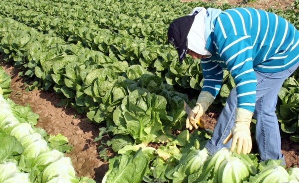 Avanza México en el uso sustentable de recursos naturales para la producción de alimentos