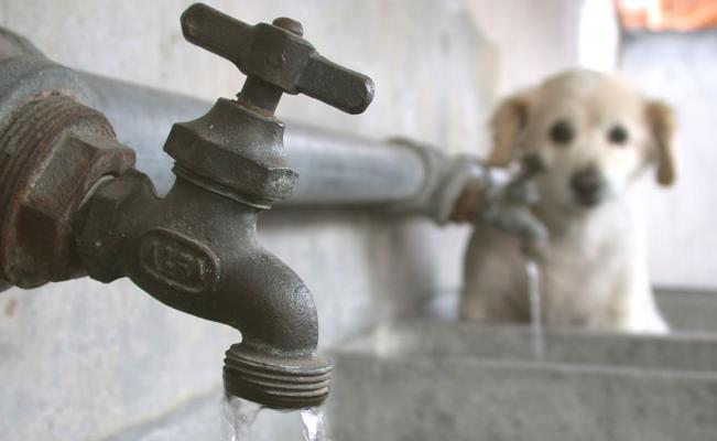 CDMX condonará pago de agua a 71 colonias de Iztapalapa