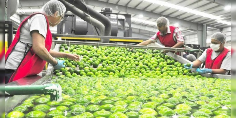 Continuará crecimiento en el sector agroalimentario nacional: SAGARPA