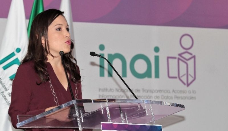 Ximena Puente renuncia al INAI para buscar diputación ‘pluri’ del PRI