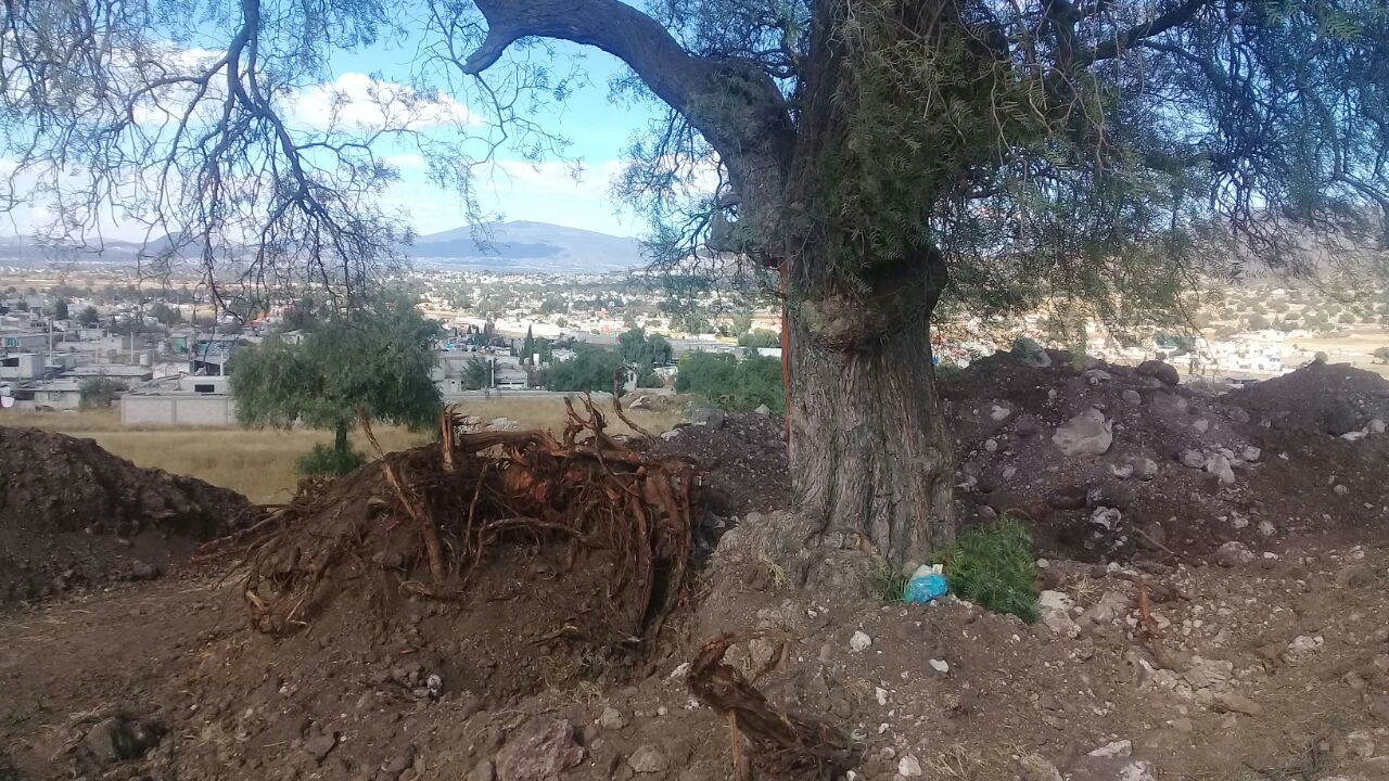 Chapingueros implementan Referéndum Popular sobre la construcción del NAICM