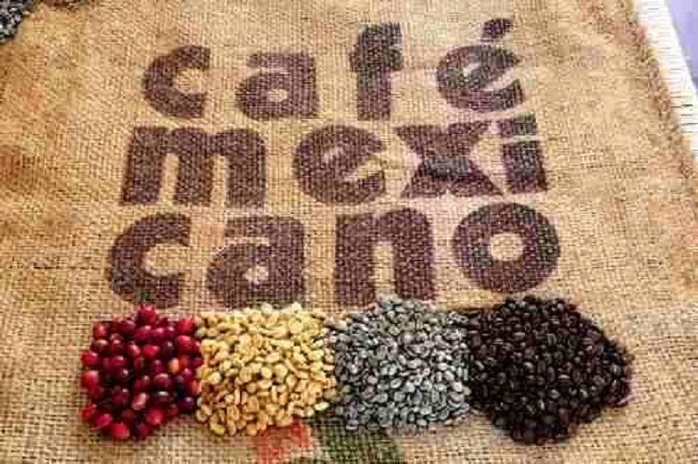 Con políticas públicas de largo alcance México recupera producción y calidad de café: SAGARPA