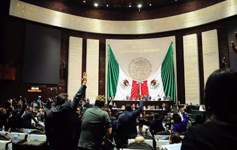 TAL CUAL: La peligrosa “refaccionaria de órganos” llamada México