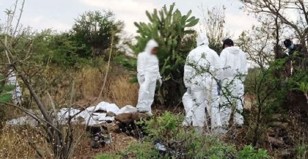 En tan solo un año se han hallado 530 cuerpos en 163 fosas clandestinas del país: CNDH