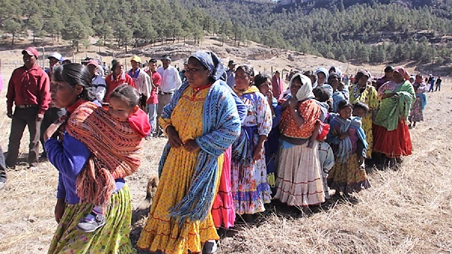 Necesario reconocer demanda de justicia social de pueblos indígenas: Tamayo Morales