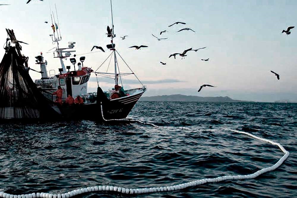 Fortalecen México y Noruega cooperación científica y técnica en pesca y acuacultura