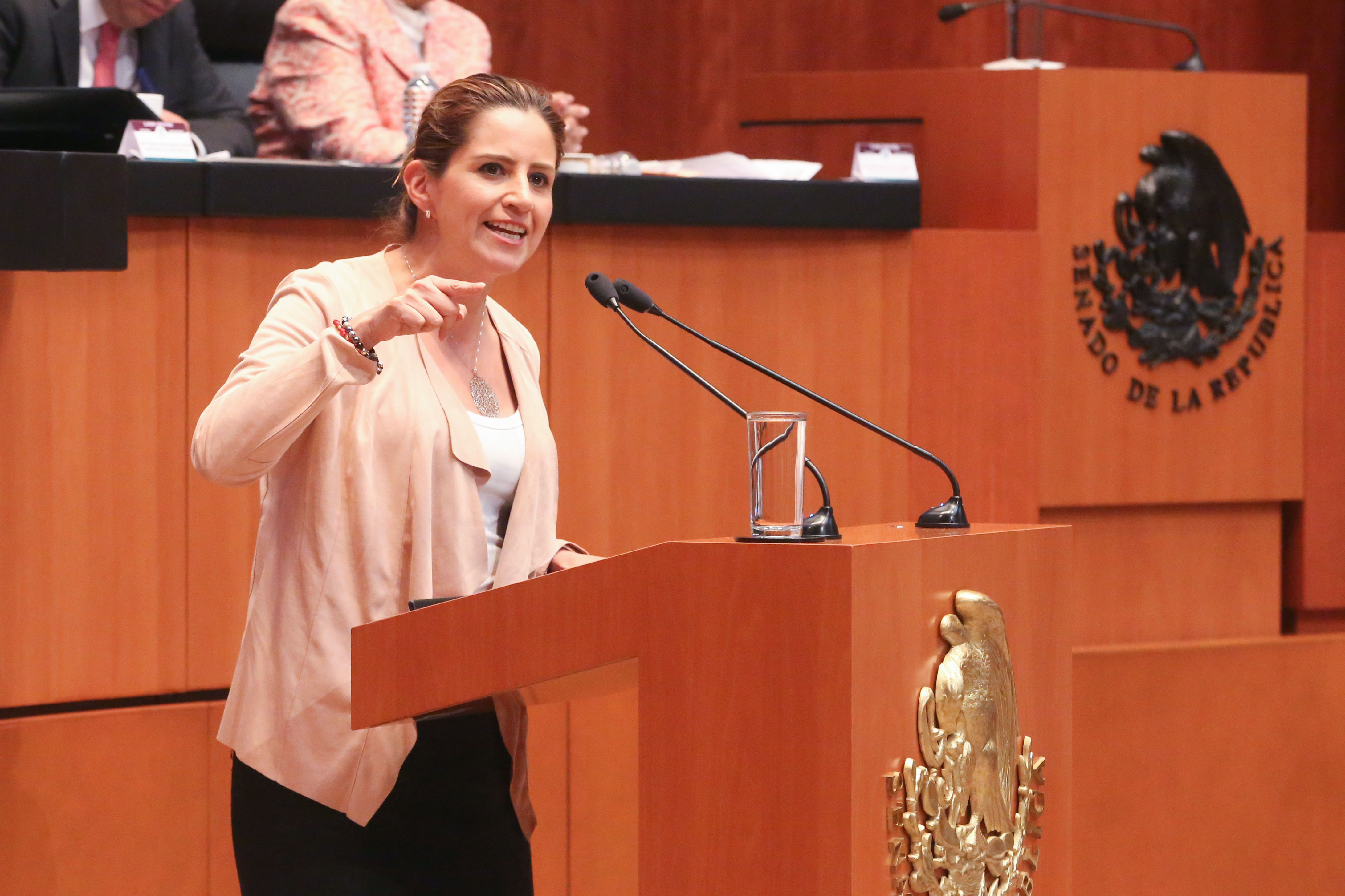 La SEP rebasó por más de 2,700 por ciento el gasto destinado a la comunicación social: Martha Tagle Martínez