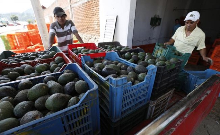 Logran productores mexicanos ventas por 8.5 millones de dólares a misión comercial europea