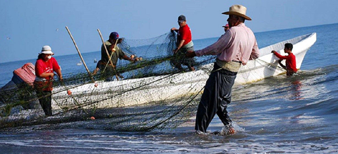 DIARIO EJECUTIVO: Buscan desempolvar la pesca mexicana
