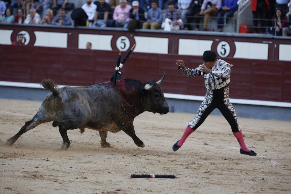 Propone AMLO consulta para decidir sobre corridas de toros en México
