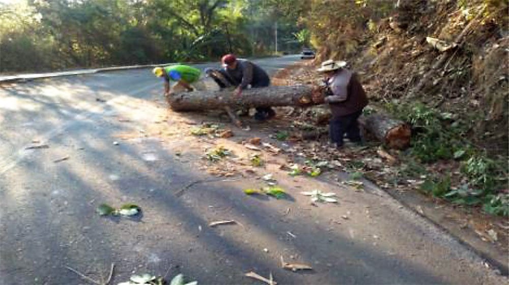 Despliega junta de caminos de Edomex personal para atender deslaves por lluvias