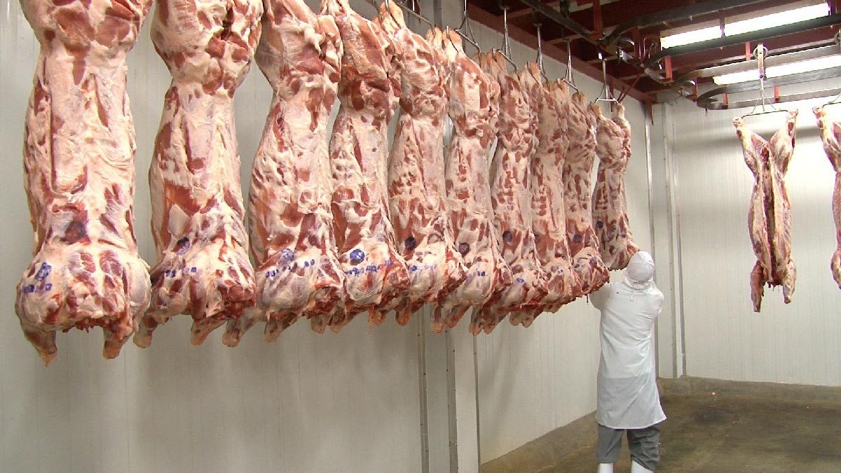 México importa carne de cerdo de Alemania