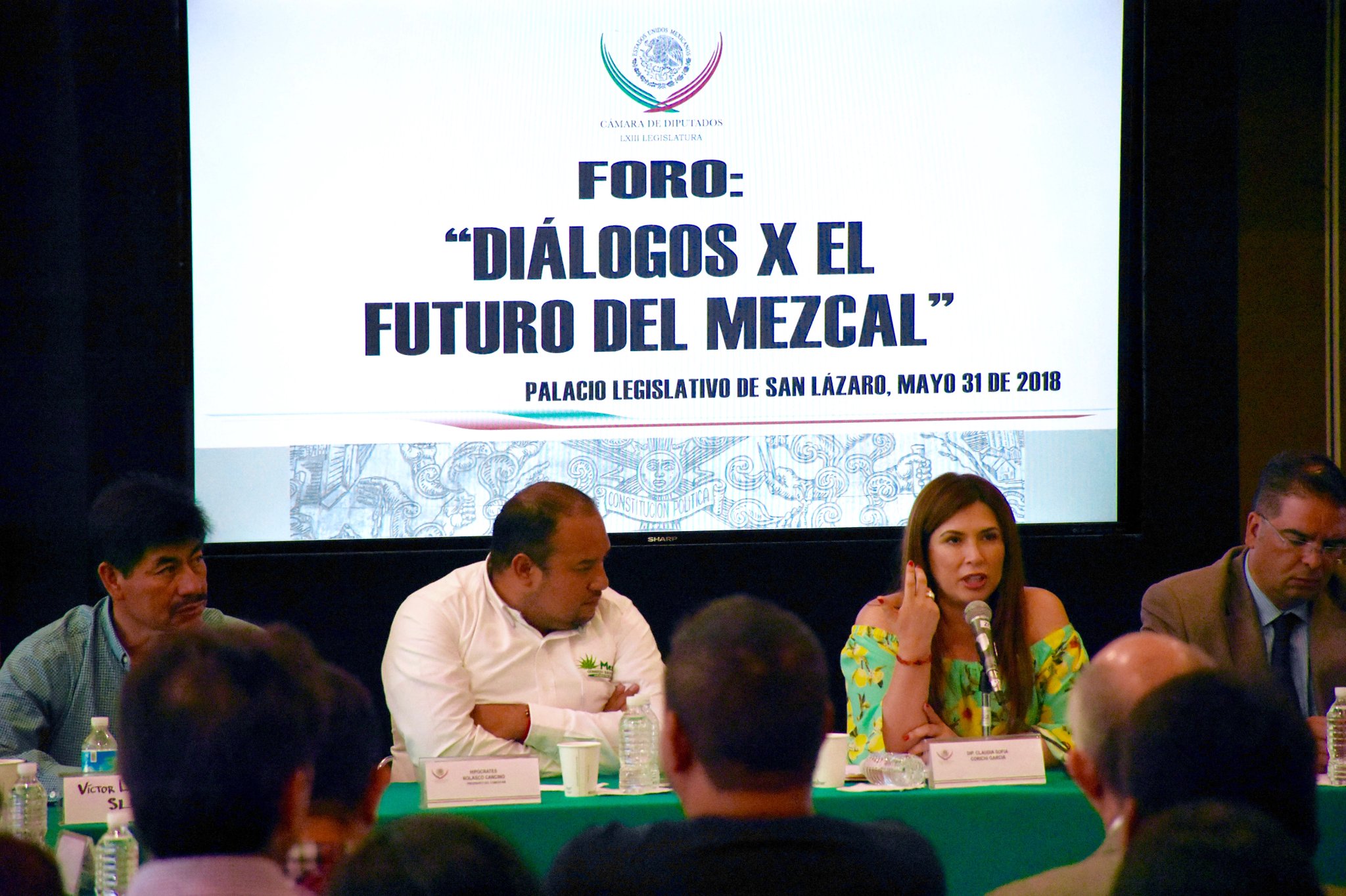 Exige diputada Claudia Corichi impulsar demandas para el desarrollo del mezcal