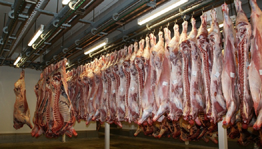 Las exportaciones de carne de res rebasan las 250 mil toneladas anuales
