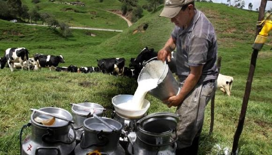 Productores de leche esperan nuevas políticas sin privilegios para lácteos importados