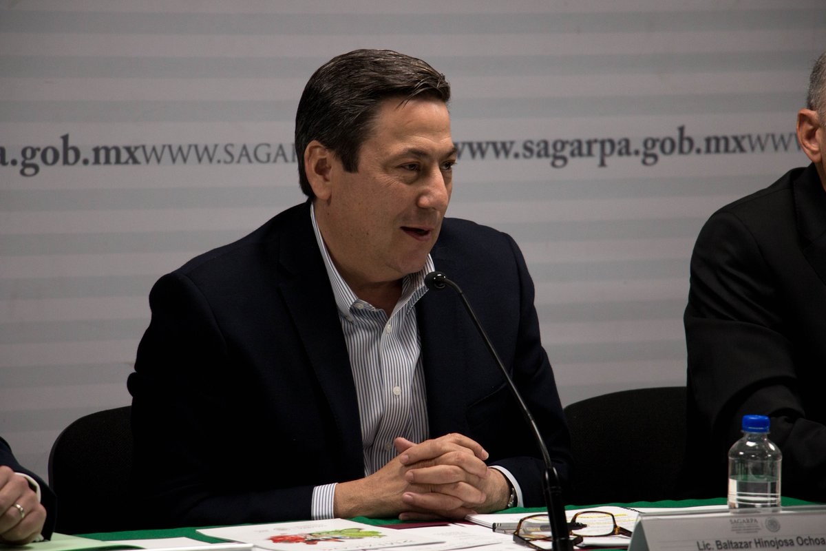 México abierto a la cooperación internacional y al comercio con reglas claras: Baltazar Hinojosa