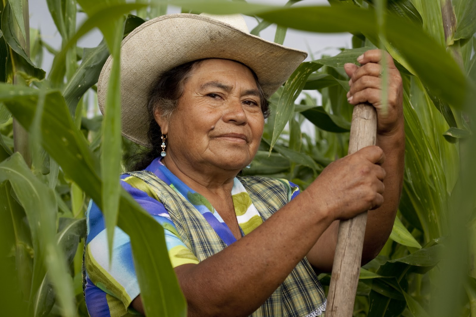 La STPS solicitó a Canadá mayor inclusión para mujeres en el Programa de Trabajo Agrícola Temporal