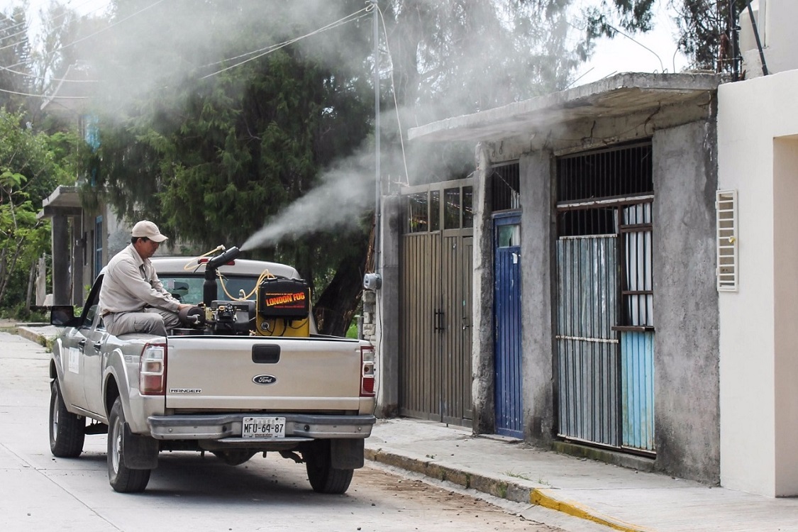 Bajan 50% casos de dengue en el Edomex