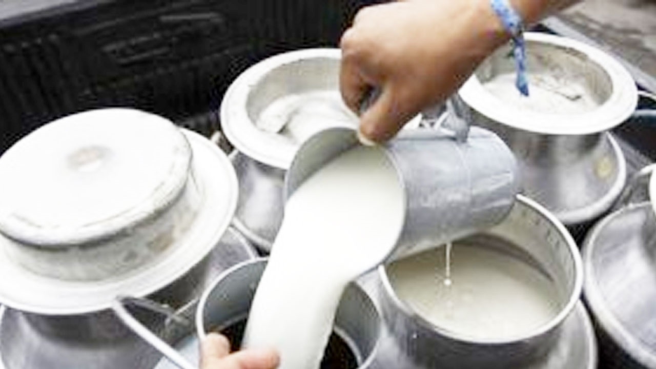 Exigen productores de leche terminar con el comercio de producto adulterado