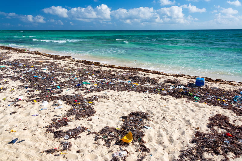 Tulum se está convirtiendo en un desastre ecológico