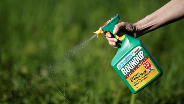 Monsanto pagara multa millonaria por usar herbicida carcinógeno