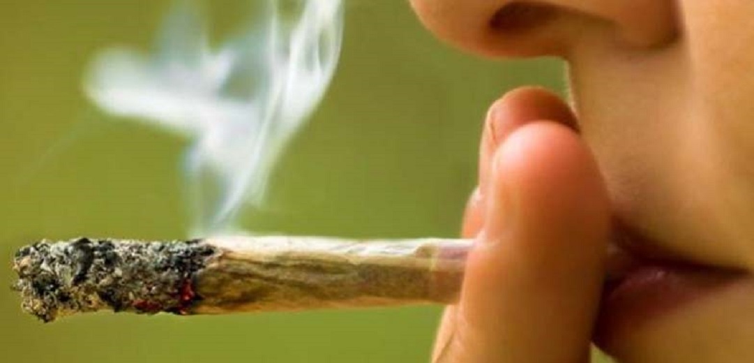 Descriminalizar el consumo de la mariguana para contrbuir a la pacificación: Gonzalo Yañez