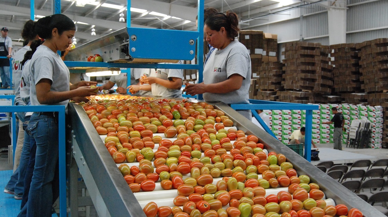 Se registra Superávit histórico en comercio agroalimentario al primer semestre con cuatro mil 403 mdd