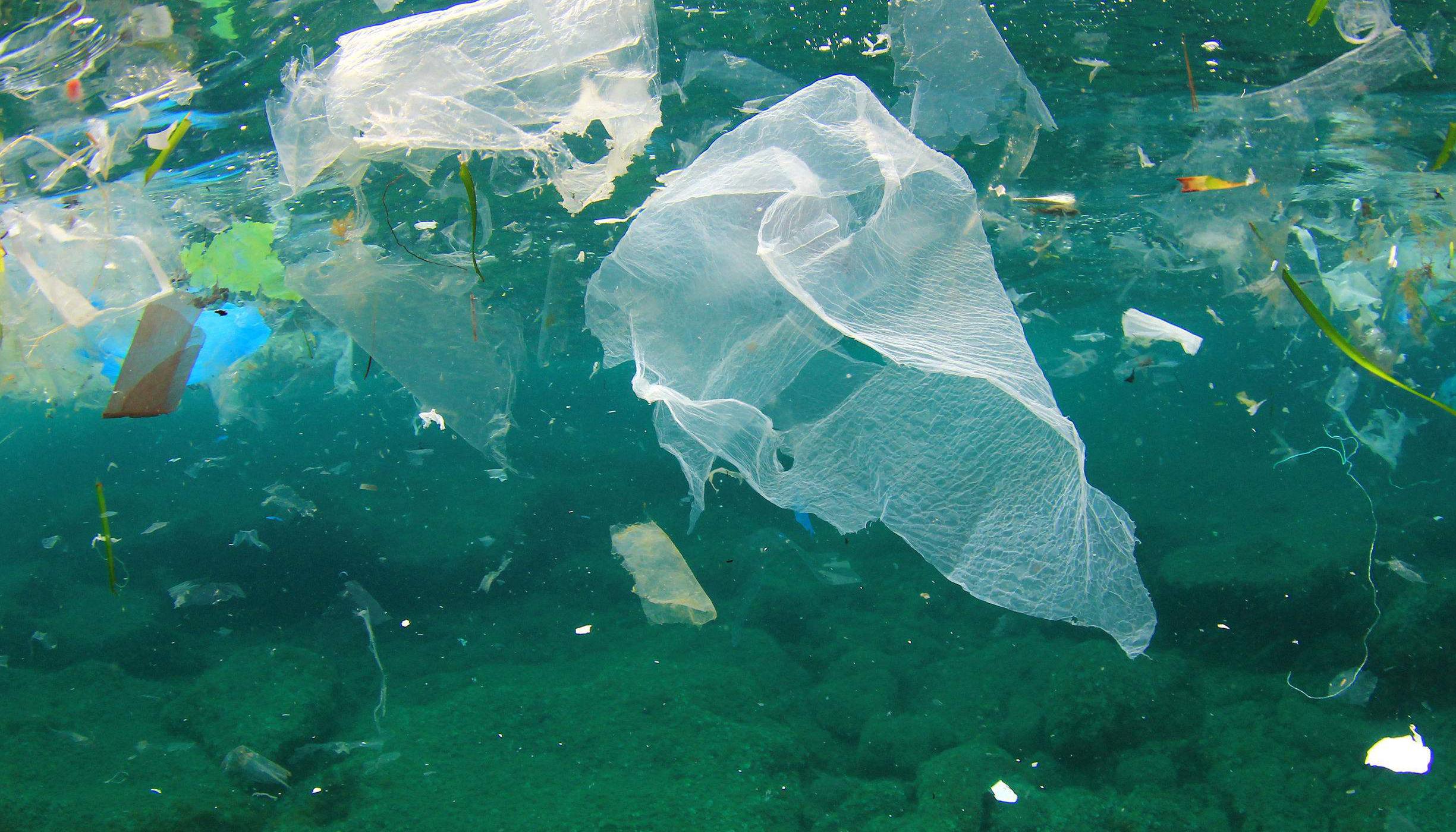 Cada año, 13 millones de toneladas de plástico llegan a los océanos: Semarnat