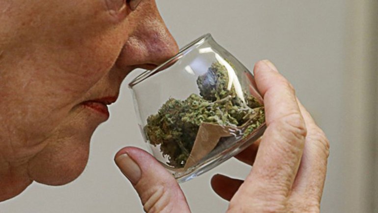 Estudio revela que los adultos mayores cada vez fuman más marihuana