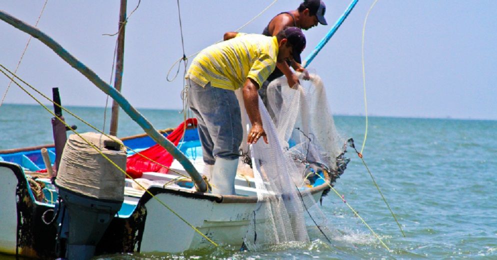 Inicia temporada de pesca de camarón en el Océano Pacífico