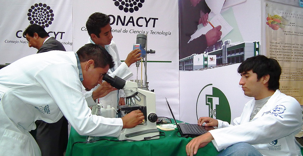 Las becas del Conacyt no tendrán recortes: Álvarez-Buylla ante Comisión de Ciencia, Tecnología e Innovación