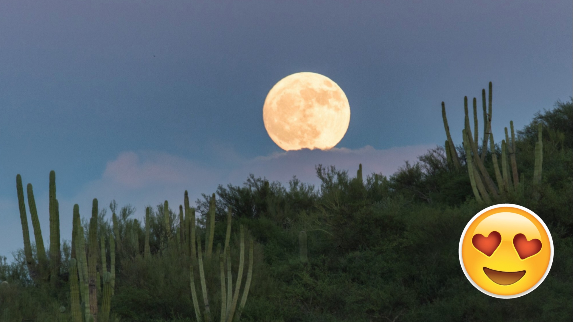 FOTOS: La luna estuvo completamente diva anoche 😎