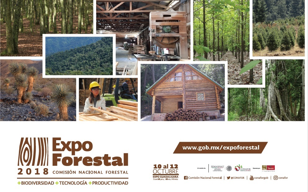 Romperá Expo Forestal récord de participación en cadenas productivas en su edición 2018