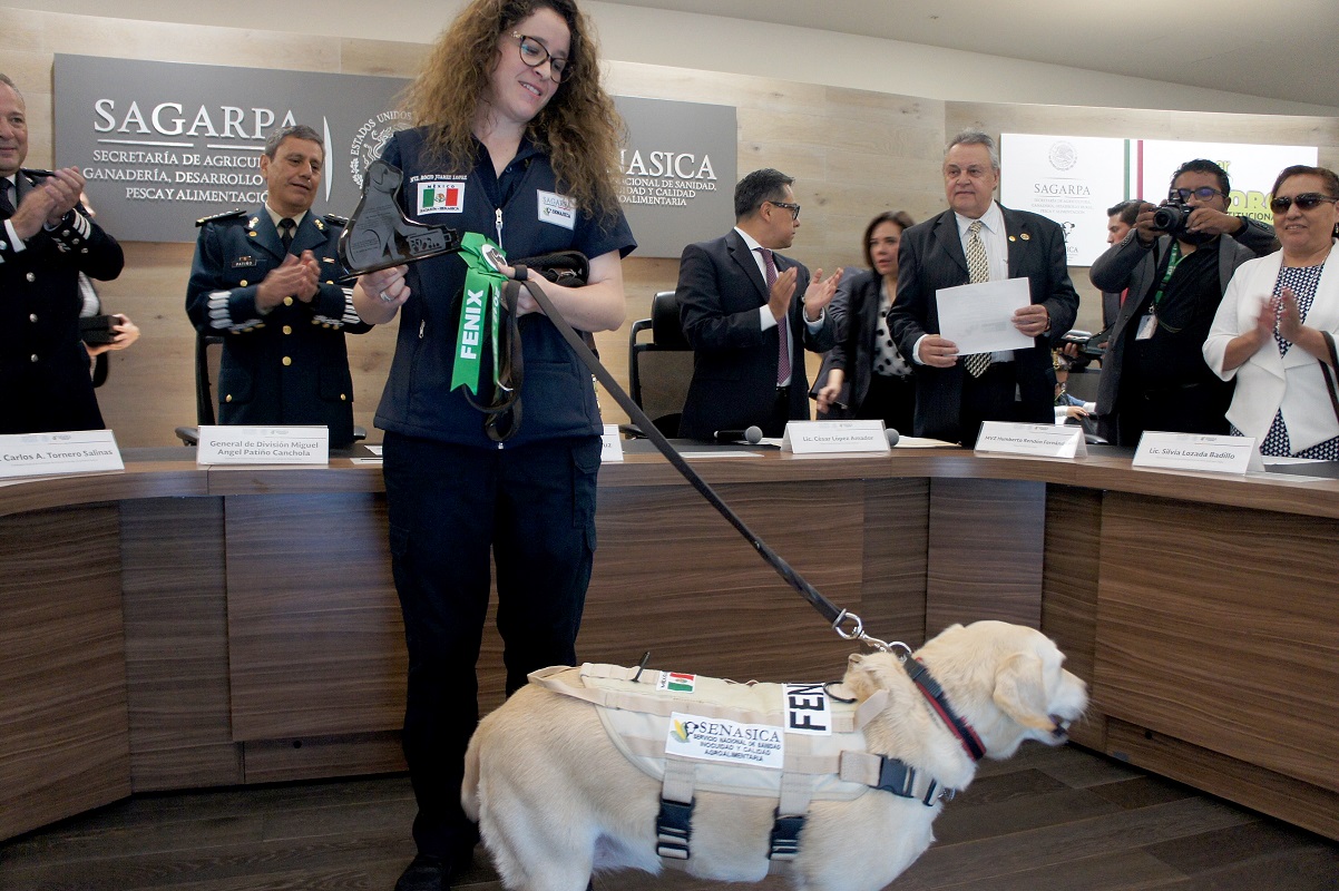 Impulsa SENASICA trabajo de unidades caninas para inspección no intrusiva