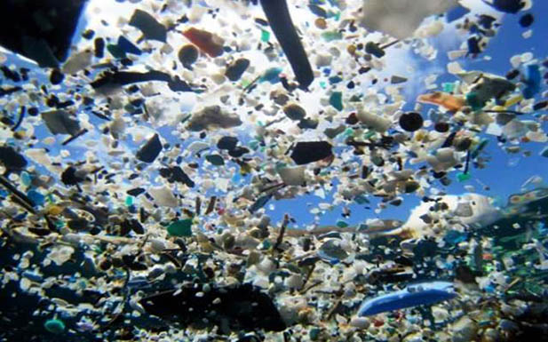 ¿Qué es la basura marina? Semarnat te explica 😮