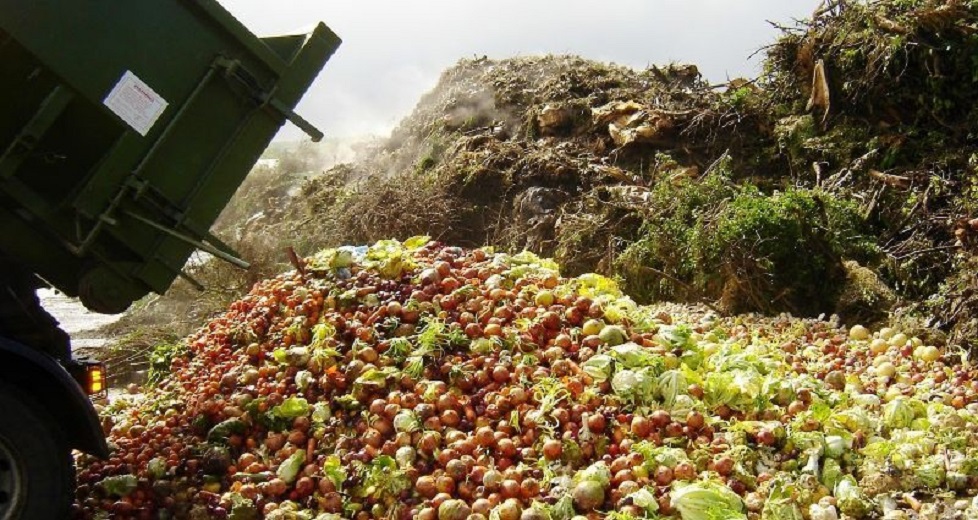 Cada año se desperdician cerca de mil 300 millones de toneladas de alimentos en el mundo