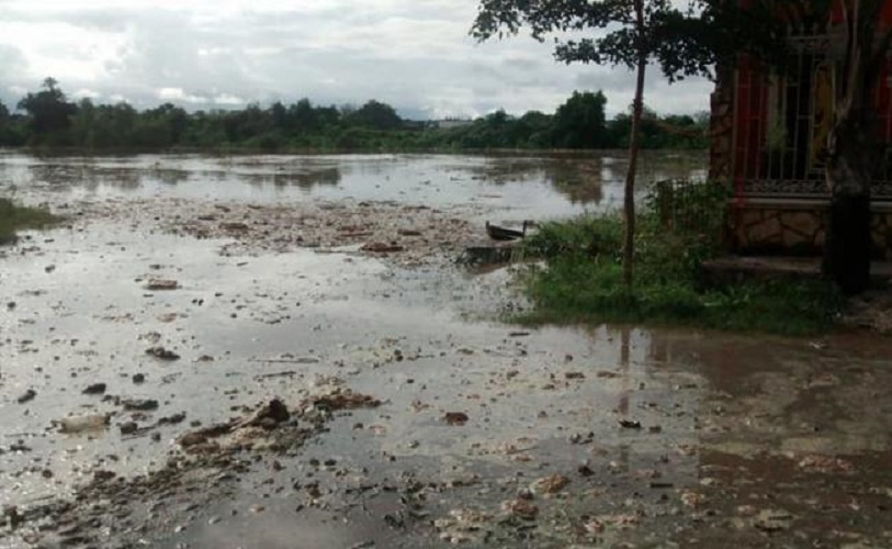 Coadyuva el Senado en acciones para combatir el cambio climático